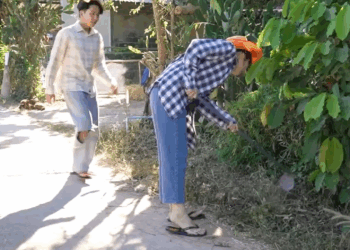 [ครบชุด] WIN08347 เพื่อนได้ดีกว่า ก็เลยอิจฉาเพื่อน สู้ไปด้วยกัน