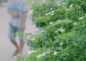 [ครบชุด] 0207130 น้ำใจคนจน