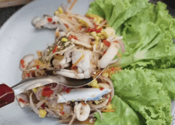 [ครบชุด] 0207192 นักศึกษา