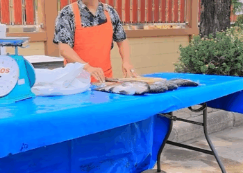 [ครบชุด] 1807097 เป็นแม่แต่สอนลูกให้ทำแต่เรื่องไม่ดี หนังสั้น