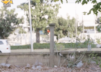 [ครบชุด] 0207204 ท้องแก่แต่มีผัวเป็นกระเทย