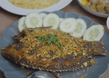 [ครบชุด] 0207211 แม่ทำได้ไง ให้เงิuเป็นพัน