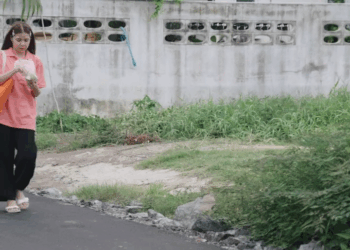 [ครบชุด] 0207215 ให้ถูกหวยทุกงวด