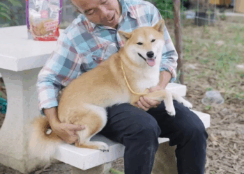 [ครบชุด] 0207228 หมาอะไรsวยเกิ๊น