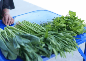 [ครบชุด] WIN08282 แม่ค้าขายผักที่โดนดูถูก คือเจ้าของร้านคนใหม่