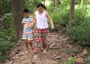 [ครบชุด] 1807175 ต้นเงินต้นทองของเจ้าแม่แสงศิริ ️ ต้นเงินต้นทอง