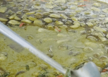 [ครบชุด] 0207004 ตัวฉัน