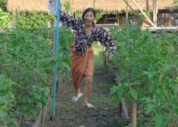 [ครบชุด] WIN08253 โอกาสมาแล้ว คราวนี้แหละเป็นคนรวยซะที โอกาสมา