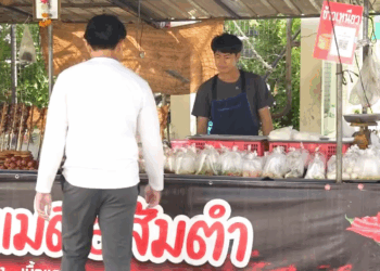 [ครบชุด] WIN08238 ไก่กินเหลือ จะซื้อไปทำไม สู้ไปด้วยกัน