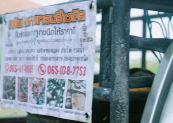 [ครบชุด] 0207352 แม่ค้าตามสั่ง