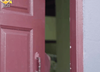 [ครบชุด] 0207377 ถูกหวยแล้วญาติเยอะ