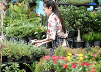 [ครบชุด] 1007078 คนสวนที่ถูกไล่ออก กลายเป็นหัวหน้าใหญ่ใน