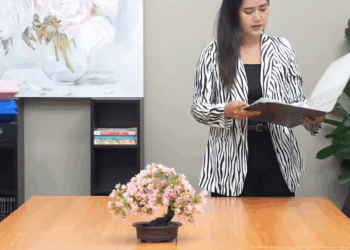 [ครบชุด] 2207356 เขาแค่บอกว่ามาเป็นครู ใครจะรู้ว่าฐานะจริงเขาไม่ธรรมดา สู้ไปด้วยกัน