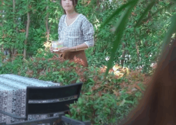 [ครบชุด] 1007138 ความสัมพันธ์จอมปลอม พี่น้องไทย