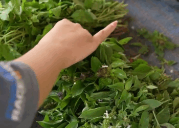 [ครบชุด] 2207241 เธอกับฉันเรามาสลับกันดูไหม สู้ต่อไป