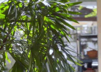 [ครบชุด] 1807009 ไม่ใช่เจ้านายทุกคน