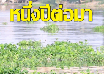 [ครบชุด] 1807339 สายลับ สืบหัวใจ ละครสั้น กล่องหนัง กล่องหนัง กล่องข่าว