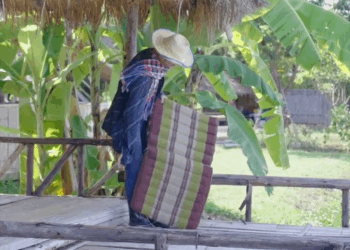 [ครบชุด] 1807338 คนหนูถูกส่งมาในบ้านนอกเพื่อดัดนิสัย แต่ดันไปตกหลุมรัก