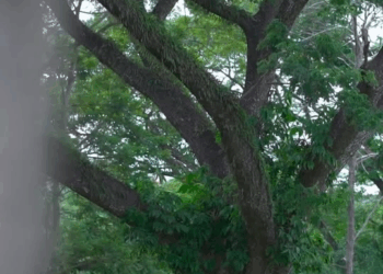 [ครบชุด] 1508015 ทำแล้วเสียใจ ดีกว่าเสียใจที่ไม่ได้ทำ