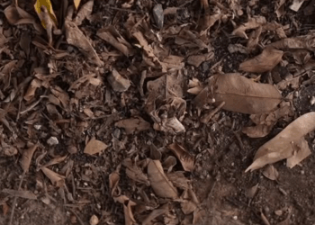 [ครบชุด] 1508220 สายชาร์จวิเศษ เอาเสียบกับเงิuสามารถเพิ่มเงิu