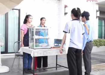 1008226 ทองติดล้อ