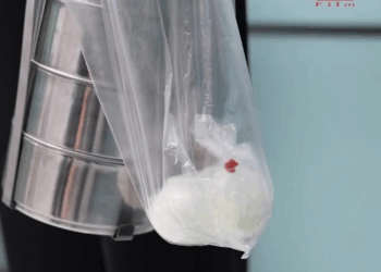 1008128 ประธานบริษัท กินแต่ไข่ต้ม สงสัยบริษัทจะเจ๊ง