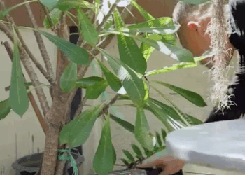 [ครบชุด] 2208184 จะให้สมบัติหลานแต่กับเป็นขอทานที่ได้ไป