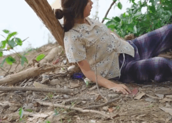 [ครบชุด] 2208286 เอาไปดูแลเองเลย ไฟเขียว ชาแนล