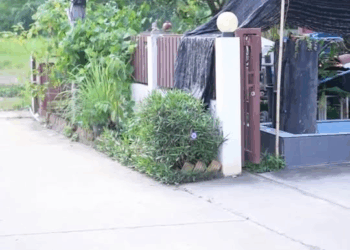 [ครบชุด] 1508375 แม่เป็นบ้าเพราะลูกหนีออกจากบ้าน