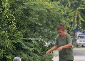 [ครบชุด] WIN68385 เทวดาเดินดิน คนแบบนี้ที่ทำให้โลกน่าอยู่