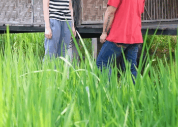 [ครบชุด] 2208272 มีรักหลายแบบอาจเพราะบางเหตุผล ทำให้ต้องเสียคนที่รัก