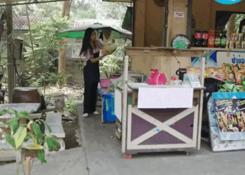 [ครบชุด] 2208246 ทำดีต้องได้ดี จริงไหม ไฟเขียว ชาแนล