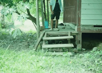 [ครบชุด] 2208265 ฉันต้องรู้ให้ได้ ไฟเขียว ชาแนล