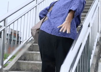 [ครบชุด] 2208264 แม่แก่แล้วเลี้ยงหลานไม่ไหว กลับบ้านนอกก็ถูกแล้วไง