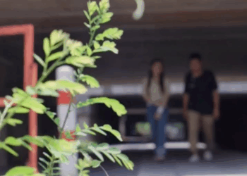 [ครบชุด] 2208254 มายืมหน้าบ้านแบบนี้ ก็ท้วงหนี้ และบุญคุณไง