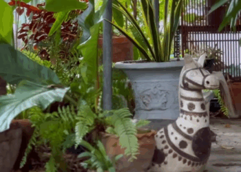 [ครบชุด] WIN68360 น้ำพักน้ำแรงของลูก ที่แม่ไม่เคยแตะเลย ละครสั้นดูอินดี้