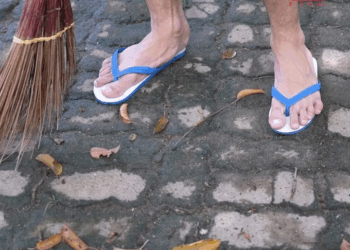 1008104 หมาเห่าเครื่องบิน