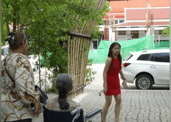 [ครบชุด] 2808164 ความรักจากแม่