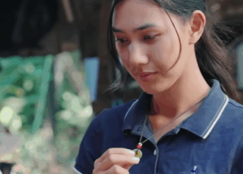 [ครบชุด] 2208375 ลูกจะคลอดแล้วยังไม่มาดูแล ไฟเขียว ชาแนล