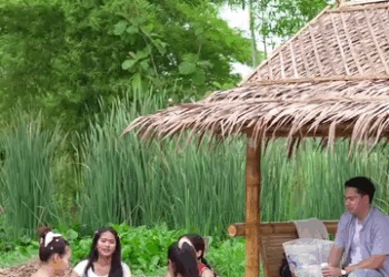 [ครบชุด] 2808079 ความรู้สึกไม่สามารถเป็นของเล่นของใครได้