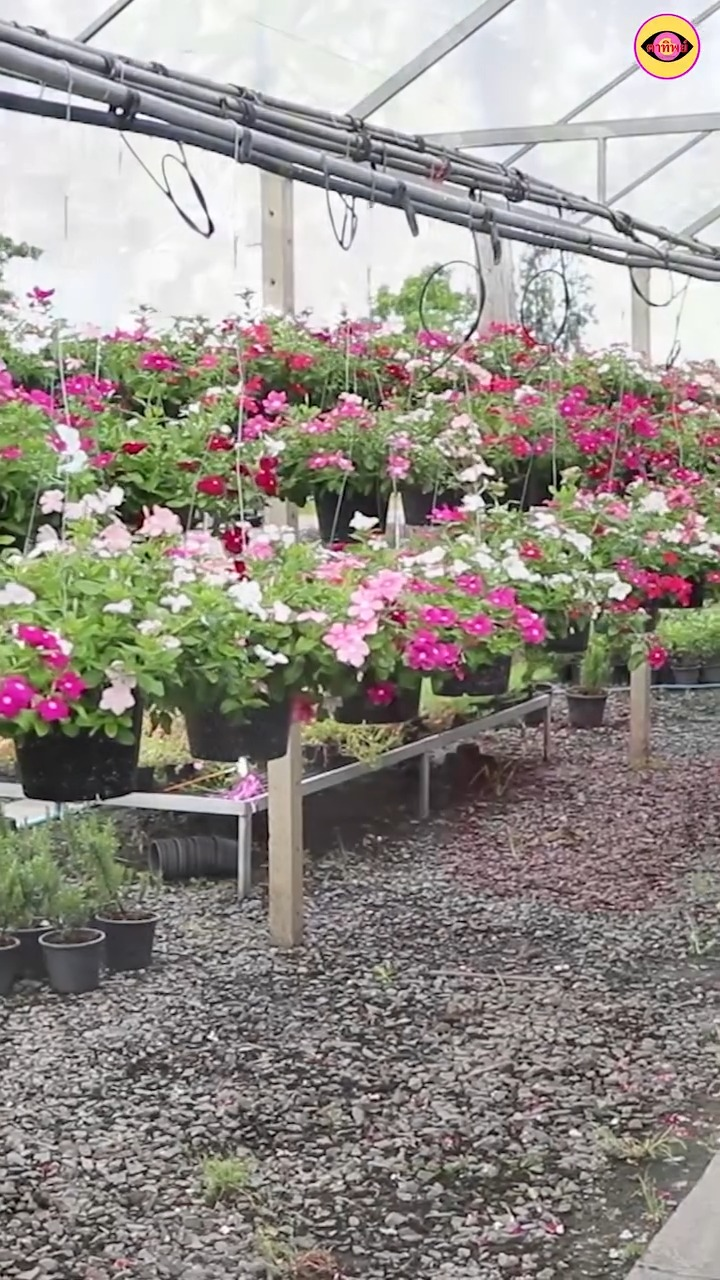 [ครบชุด] 2009399 พาเเฟนใหม่มาอวดเเฟนเก่า ตาทิพย์