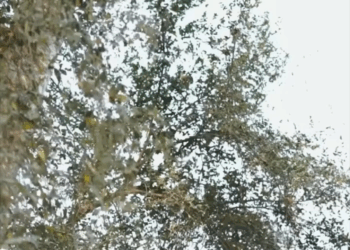 [ครบชุด] 1209274 คำว่าทำดีได้ดีมันใช้ได้จริงๆเหรอ! ดูอิน ฟินดี ฟิล์ม