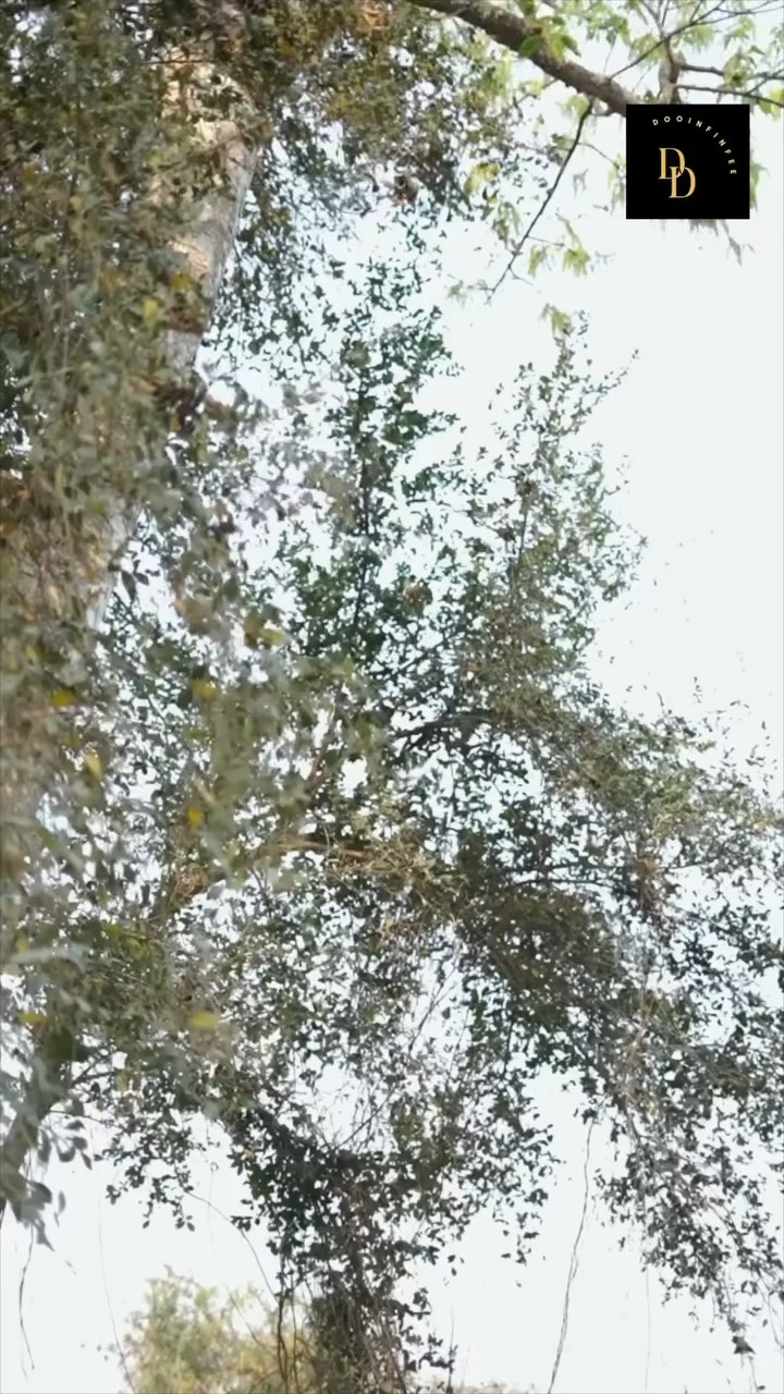 [ครบชุด] 1209274 คำว่าทำดีได้ดีมันใช้ได้จริงๆเหรอ! ดูอิน ฟินดี ฟิล์ม