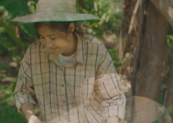 [ครบชุด] 2009327 แม่ค้าข้าวเหนียวมะม่วงข้างทาง