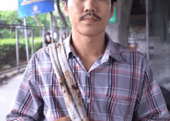 [ครบชุด] 2009093 ไอ้หนุ่มบ้านนอกคอกใจ