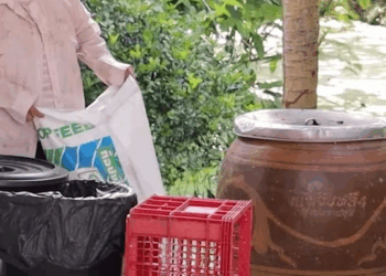 [ครบชุด] 2009096 ข้าวกล่องของเเม่มีเเต่ความรัก ตาทิพย์