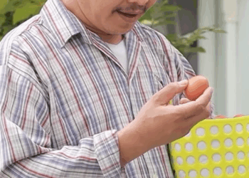 [ครบชุด] 2009149 พี่ชายขายไข่มาเเต่งงานของน้องชายที่เป็นเศรษฐี ตาทิพย์