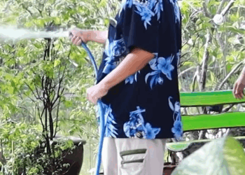 [ครบชุด] 2009156 อมเงินทอนของบริษัทค่าจัดซื้อ ตาทิพย์