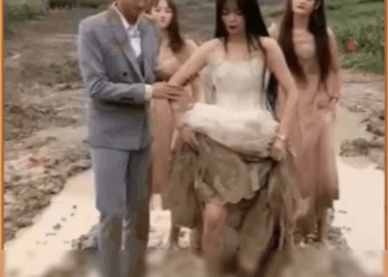 [ครบชุด] TQ177 หนังดี 18