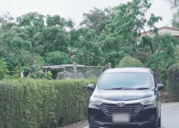 [ครบชุด] 2009184 ก๋วยเตี๋ยวข้างทาง !! จะมาสู้อาหารในเมือง